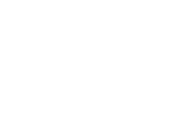 Deutsch-Amerikanisches Institut